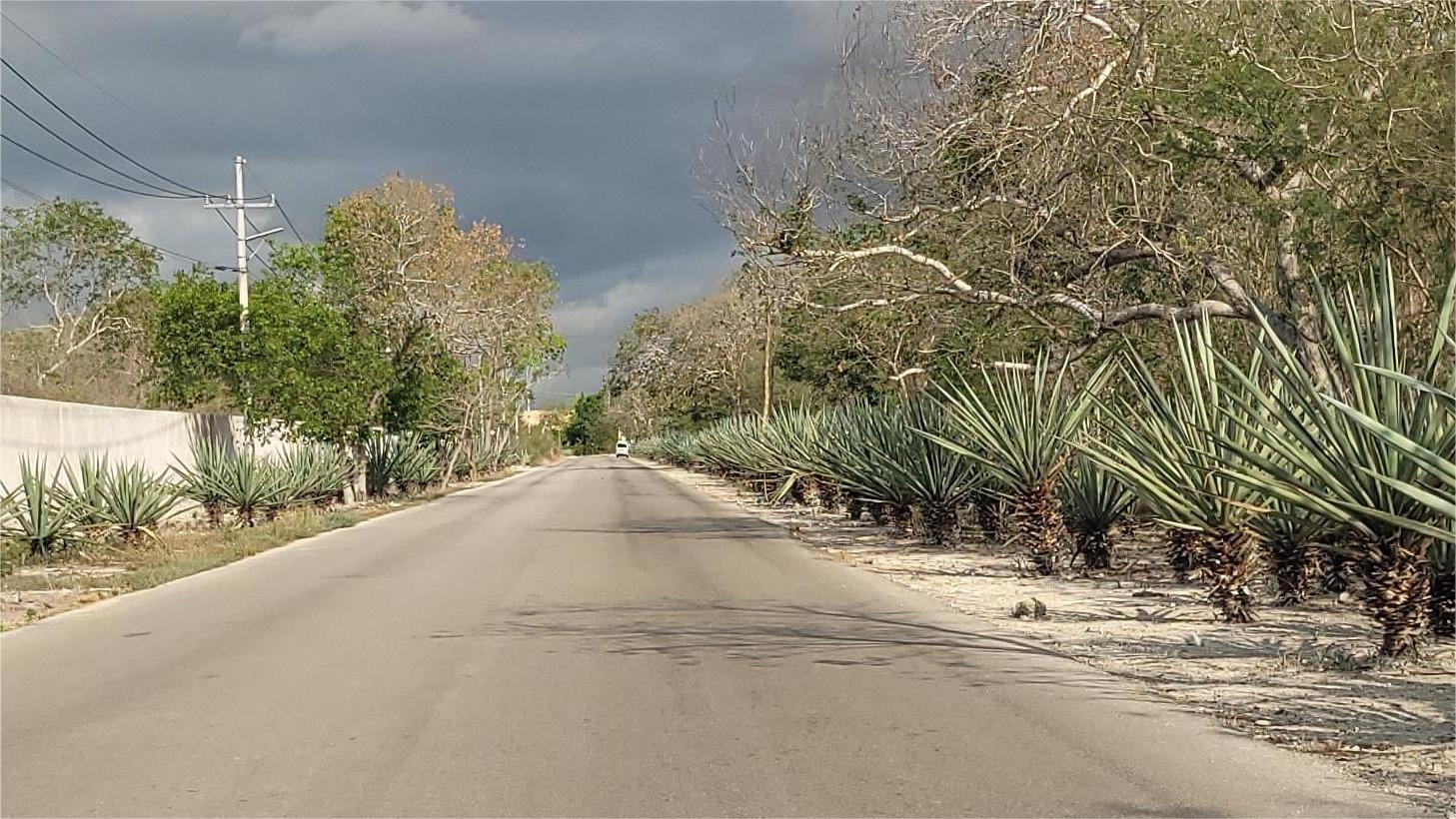 Croquis del desarrollo Provincia